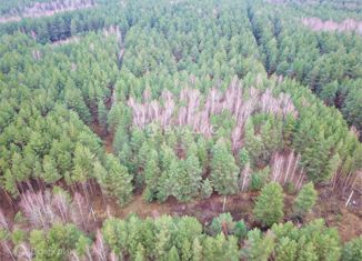 Продаю участок, 10 сот., деревня Ладога