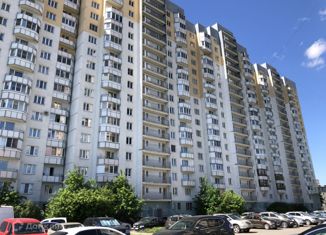 Продаю 1-комнатную квартиру, 38.8 м2, Санкт-Петербург, Народная улица, 53к2, муниципальный округ Народный