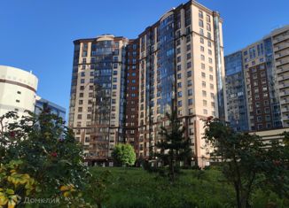 Продаю 1-ком. квартиру, 41.8 м2, Санкт-Петербург, Фермское шоссе, 20к2, Фермское шоссе