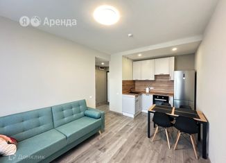 Аренда 1-ком. квартиры, 35 м2, Санкт-Петербург, Витебский проспект, 99к1