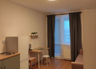 Сдача в аренду квартиры студии, 24 м2, Мурино, Ручьёвский проспект, 2, ЖК Авиатор