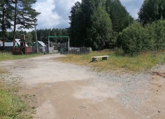 Дом на продажу, 25 м2, Березники, СТ № 59, 50