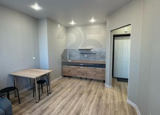 1-комнатная квартира на продажу, 28 м2, Краснодар, улица Красных Партизан, 1/4к3, микрорайон Светлоград