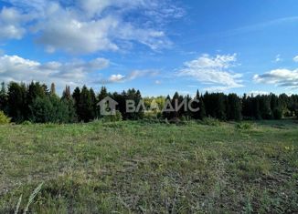 Продается земельный участок, 30 сот., деревня Жебреи, Центральная улица