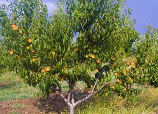 Продам участок, 140 сот., село Казанки, улица Стрельникова