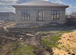 Дом на продажу, 110 м2, село Еткуль, Новая улица