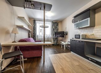 Квартира на продажу студия, 25.3 м2, Мурино, Охтинская аллея, 14, ЖК Мой Город