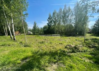 Участок на продажу, 6 сот., СНТ Аметист, СНТ Аметист, 33
