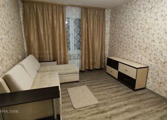 1-комнатная квартира в аренду, 28 м2, Нижегородская область, Бурнаковская улица, 107