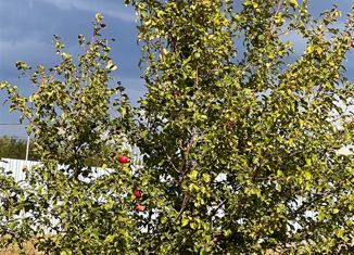 Продам участок, 63 сот., село Городище, 61Н-754