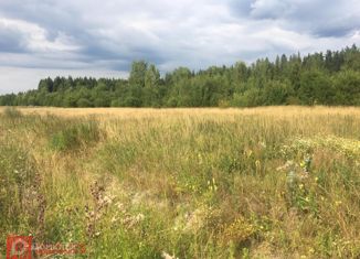 Продам участок, 20 сот., поселок Большое Поле