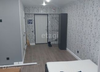 Продается квартира студия, 25 м2, Уфа, Бородинская улица, 20, ЖК Альпийский Парк