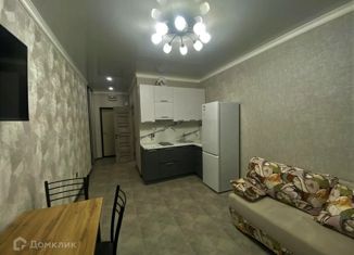 Квартира на продажу студия, 28 м2, посёлок Российский, Измаильская улица, 74к3