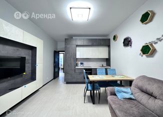 2-комнатная квартира в аренду, 51 м2, Санкт-Петербург, улица Лётчика Лихолетова, 14к3, ЖК Солнечный Город