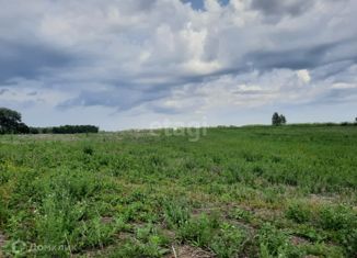 Продается участок, 65 сот., СНТ Берег Катуни