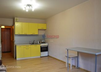 Сдам квартиру студию, 25 м2, Мурино, улица Шувалова, 4к1, ЖК Мой Город