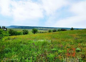 Продажа участка, 260 сот., село Казанки, улица Стрельникова