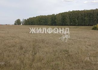 Продам земельный участок, 9.5 сот., деревня Алексеевка