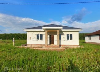 Продам дом, 139 м2, село Новое Барятино, Янтарная улица, 45