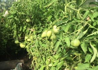 Продается дом, 15 м2, Стерлитамак, 21-й проезд