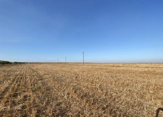 Земельный участок на продажу, 340 сот., село Окунёвка, улица Крупской