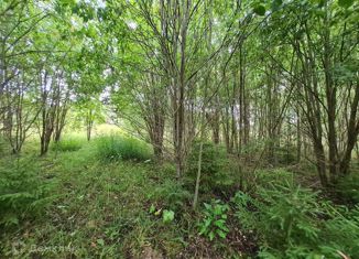 Продается земельный участок, 15 сот., деревня Соколово, деревня Соколово, 174