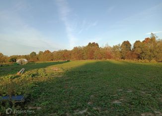 Продам участок, 16 сот., деревня Подгородье, 41К-141