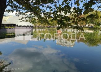 Продам квартиру студию, 18.7 м2, Москва, Чистопрудный бульвар, 12к5, метро Чистые пруды