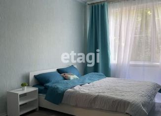 Продаю однокомнатную квартиру, 30.7 м2, Санкт-Петербург, улица Шелгунова, 6к1, метро Пролетарская