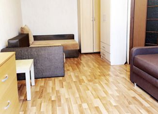 Сдам однокомнатную квартиру, 30 м2, Красное Село, Гатчинское шоссе, 7к1