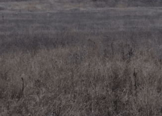 Продается земельный участок, 10 сот., село Красная Зорька, Рассветная улица, 2