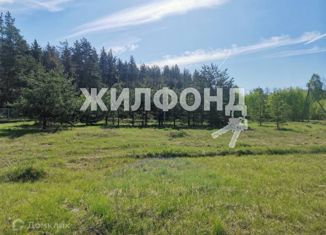 Продается земельный участок, 14 сот., деревня Цаплино