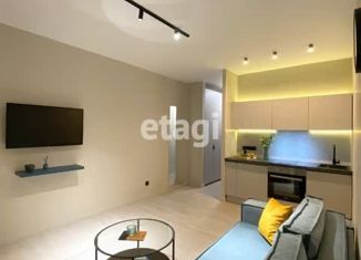 Продажа квартиры студии, 24.3 м2, Кудрово, Европейский проспект, 22, ЖК Европейский парк