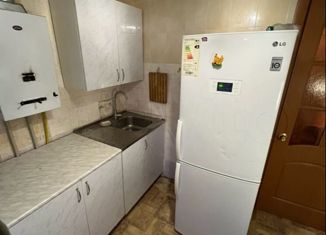 Сдается 2-комнатная квартира, 42 м2, Нижегородская область, микрорайон Щербинки-1, 4