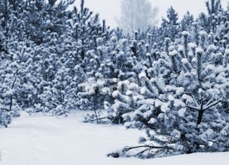 Продаю земельный участок, 970 сот., деревня Желохово, деревня Желохово, 38