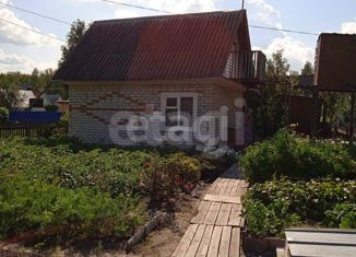 Продам дом, 29.5 м2, село Нижняя Тавда, Рябиновая улица