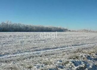 Продам земельный участок, 6 сот., деревня Васильевское