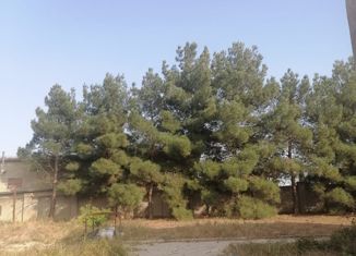 Продам земельный участок, 10 сот., садоводческий обслуживающий кооператив Радуга, 7-я аллея