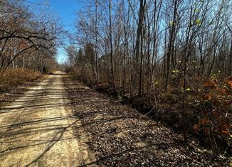 Продаю участок, 20 сот., село Ясное, Серебряная улица, 21