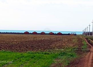 Продаю земельный участок, 537 сот., Окунёвское сельское поселение