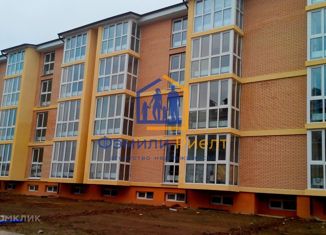 Продается квартира студия, 32.9 м2, деревня Кабицыно, микрорайон Молодёжный, 9