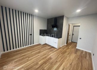 Продам квартиру студию, 27.5 м2, село Лопатино, Губернаторская улица, 57