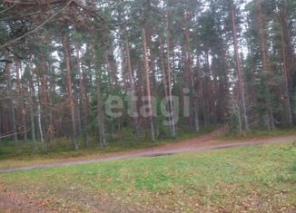 Продается земельный участок, 24.3 сот., деревня Тивиково