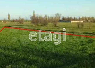 Продажа земельного участка, 200 сот., село Фрунзе, площадь имени М.К. Дорохина