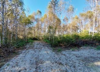 Участок на продажу, 15 сот., садоводческое товарищество У Сосны