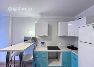 Аренда квартиры студии, 24 м2, Мурино, улица Шоссе в Лаврики, 63, ЖК Муринское-1