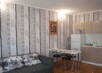 Продается 1-ком. квартира, 30 м2, село Молочное, Ново-Садовая улица, 6