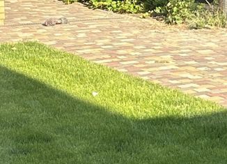 Продается участок, 5 сот., хутор Камышеваха, Гранатовая улица