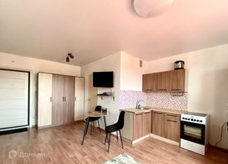 Продаю квартиру студию, 24.6 м2, посёлок Западный