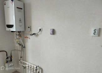 1-комнатная квартира на продажу, 54.4 м2, поселок Васильково, Окружная улица, 1